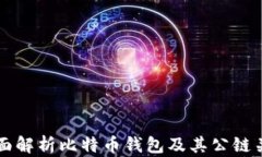 全面解析比特币钱包及其