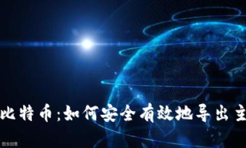 玩转比特币：如何安全有效地导出主公钥