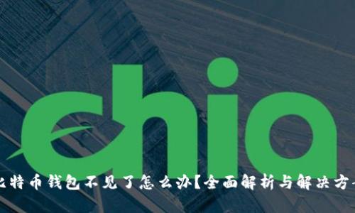 比特币钱包不见了怎么办？全面解析与解决方案