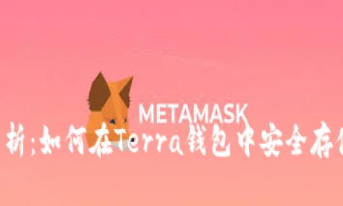 全面解析：如何在Terra钱包中安全存储USDT