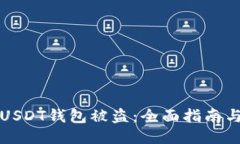 如何应对USDT钱包被盗：全