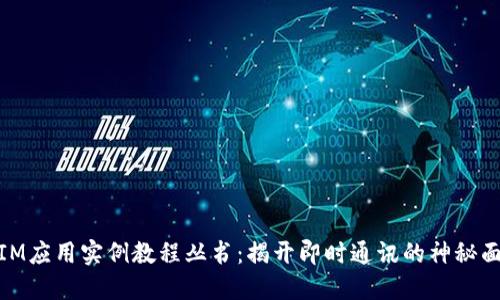 : IM应用实例教程丛书：揭开即时通讯的神秘面纱