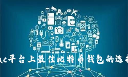 深入探讨：Mac平台上最佳比特币钱包的选择与使用指南