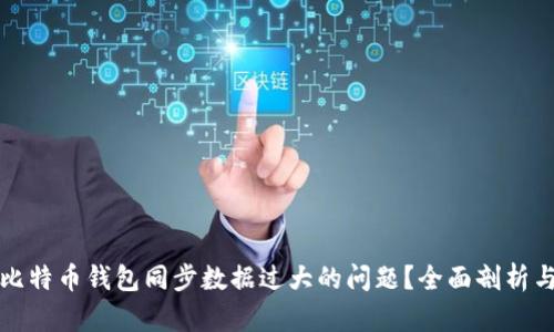 如何解决比特币钱包同步数据过大的问题？全面剖析与实用技巧