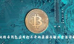 比特币钱包应用打不开的