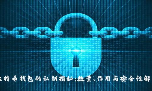 比特币钱包的私钥揭秘：数量、作用与安全性解析