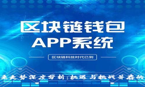IMU币未来走势深度分析：机遇与挑战并存的加密市场