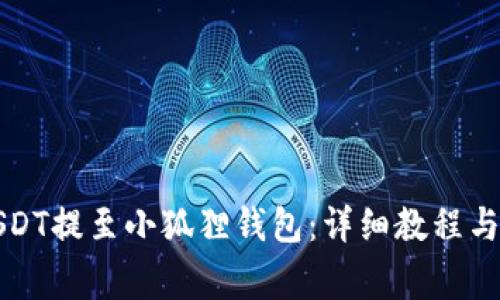 如何将USDT提至小狐狸钱包：详细教程与注意事项