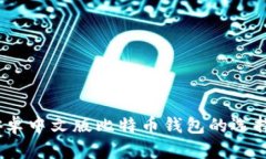 全面解析：安卓中文版比