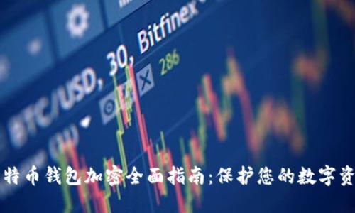 比特币钱包加密全面指南：保护您的数字资产