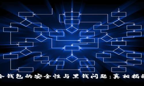 探索虚拟币冷钱包的安全性与黑钱问题：真相揭秘与风险分析