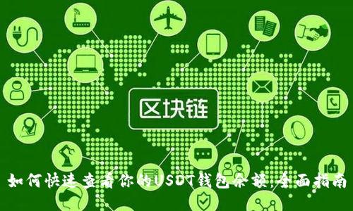 如何快速查看你的USDT钱包余额：全面指南