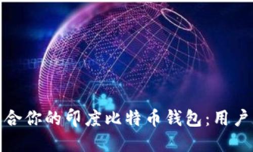 如何选择适合你的印度比特币钱包：用户指南与比较