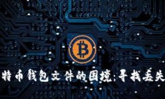 如何应对遗失比特币钱包