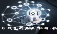 区块链电子钱包的未来：机遇、挑战与创新