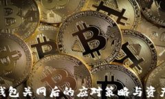 imToken钱包关网后的应对策略与资产安全指南